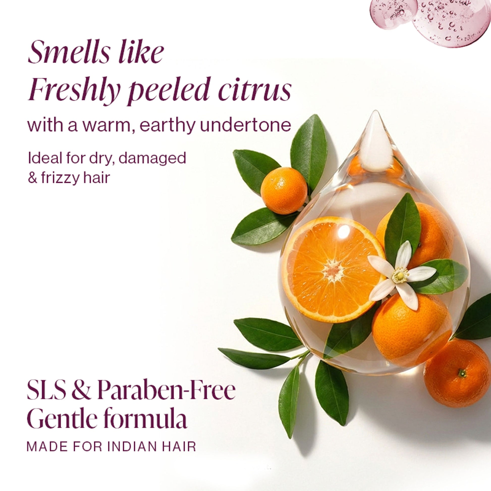 &Done Take Control Hydrating Shampoo for Dry & Frizzy Hair