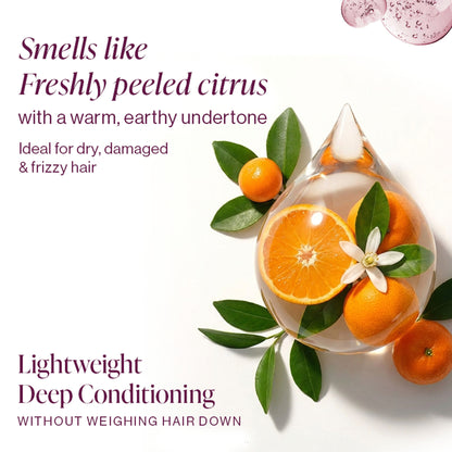 &Done Take Control Shielding Conditioner for Dry & Frizzy Hair