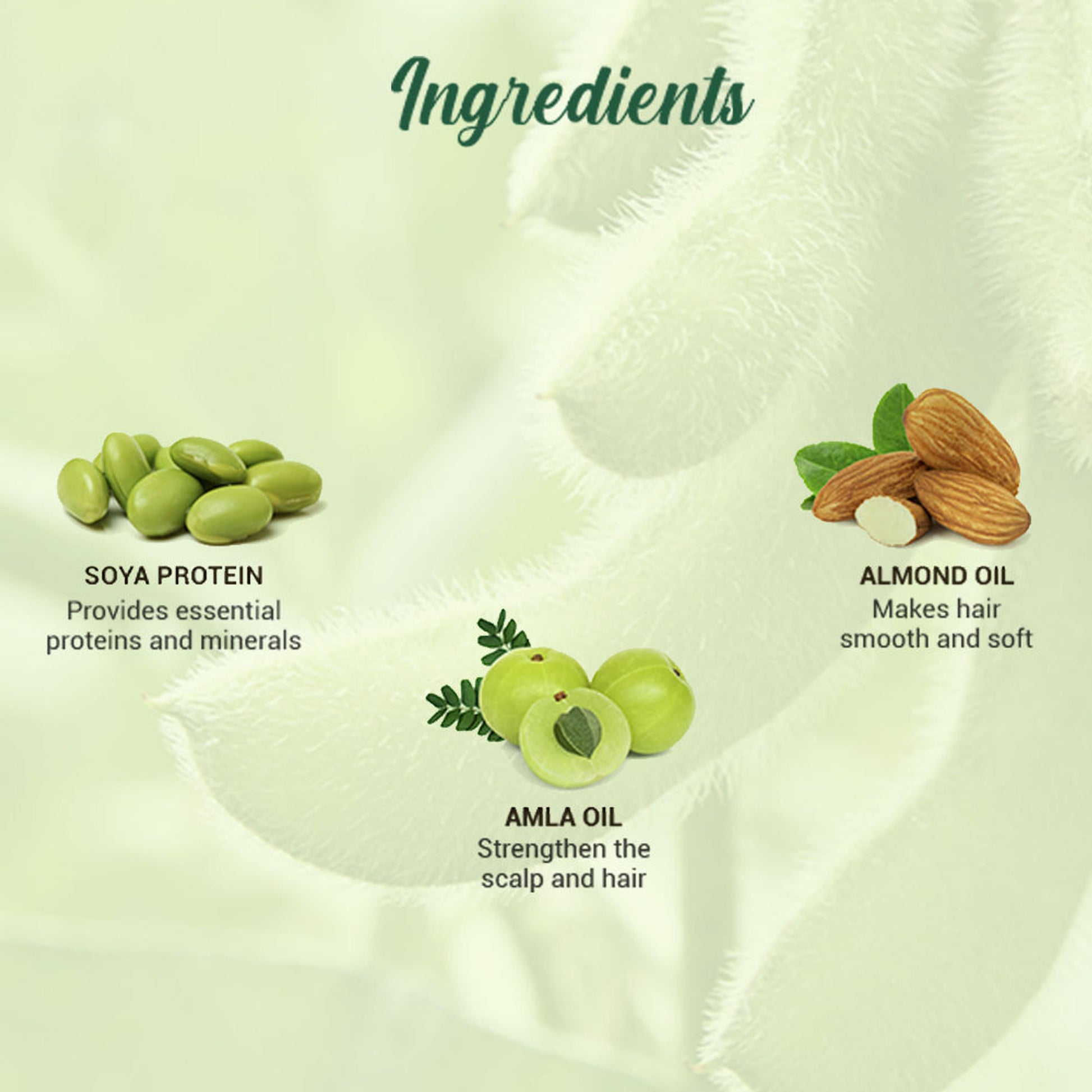 Biotique Bio Soya Protein Fresh Nourishing Shampoo