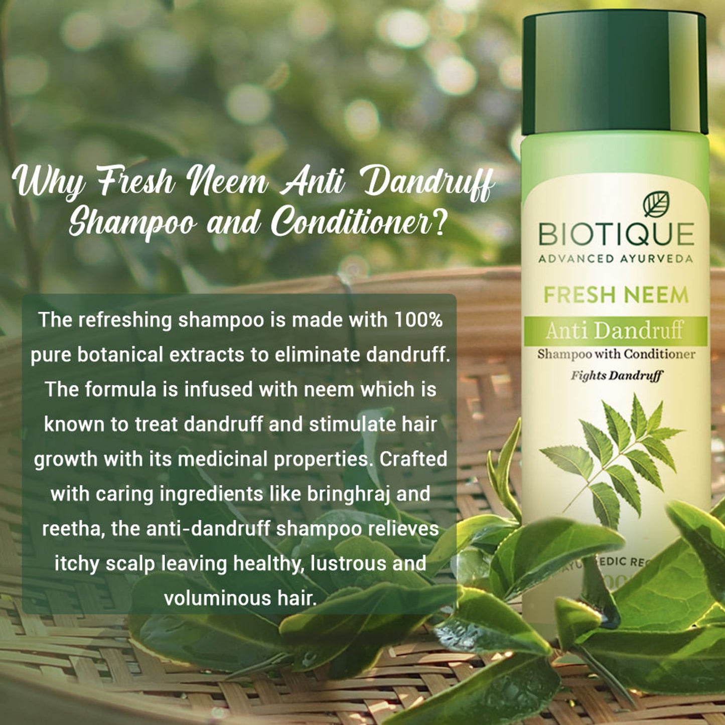 Biotique Bio Neem Margosa Anti-Dandruff Shampoo & Conditioner