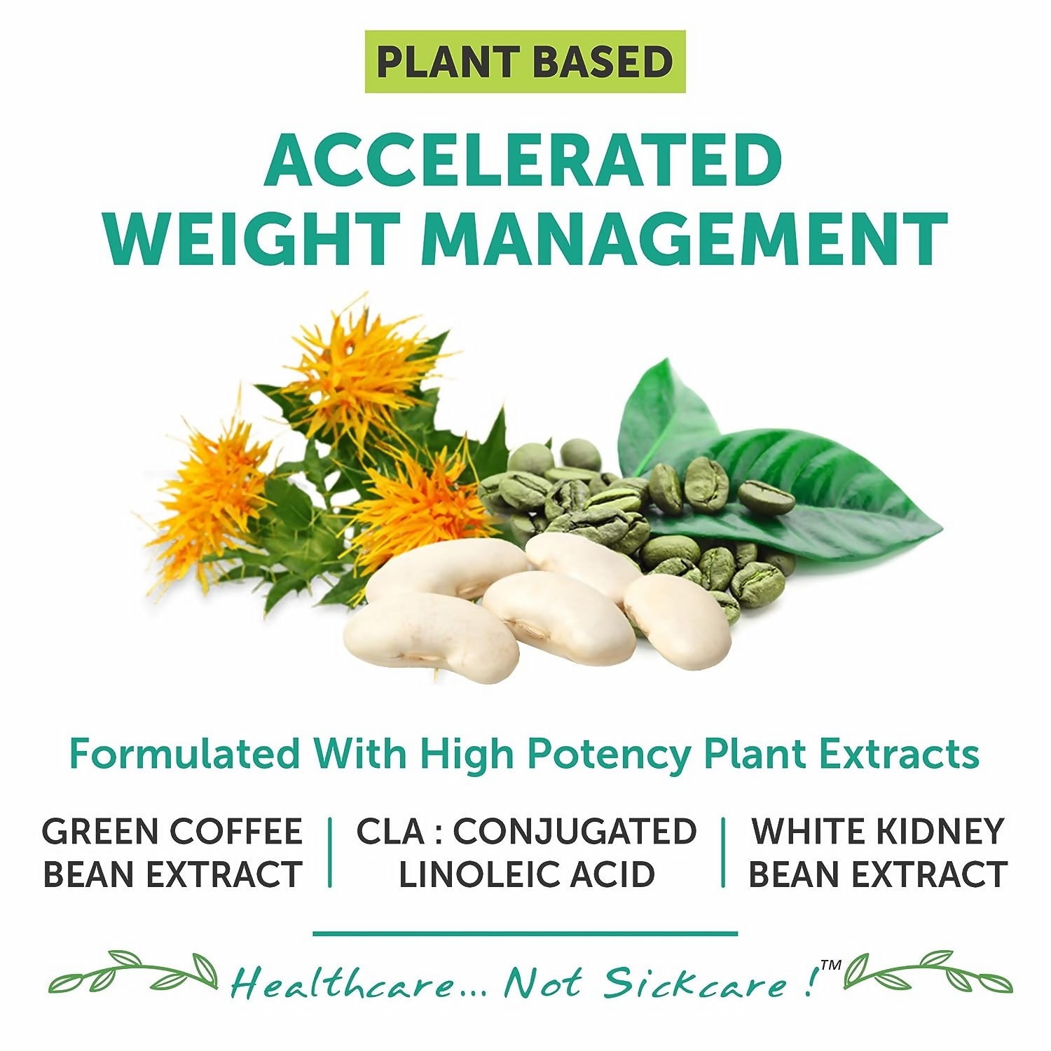 Bliss Welness CLA White Kidney Bean Extract Green Coffee Bean Extract Tablets - Indyancart