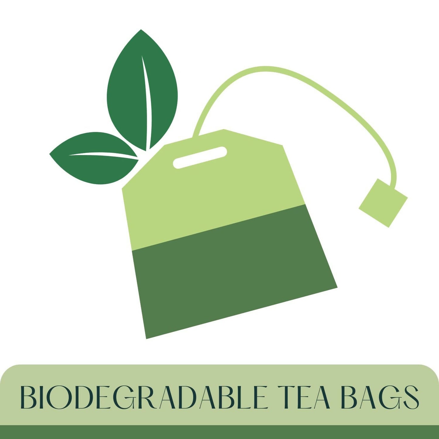 Satvi Wellness Ginger Tea Bags | Herbal Tea