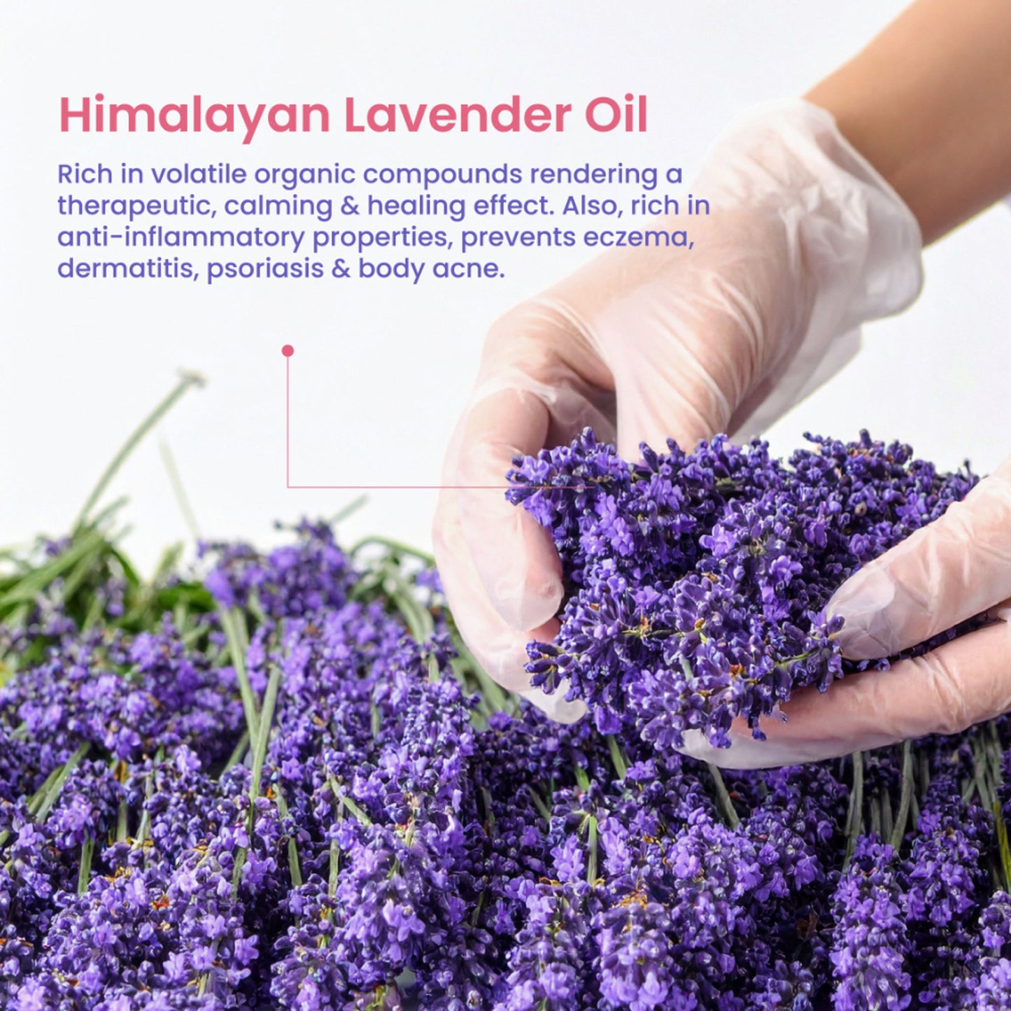 Nat Habit Cold Processed Himalayan Lavender Moisturising Soap - Pack of 4