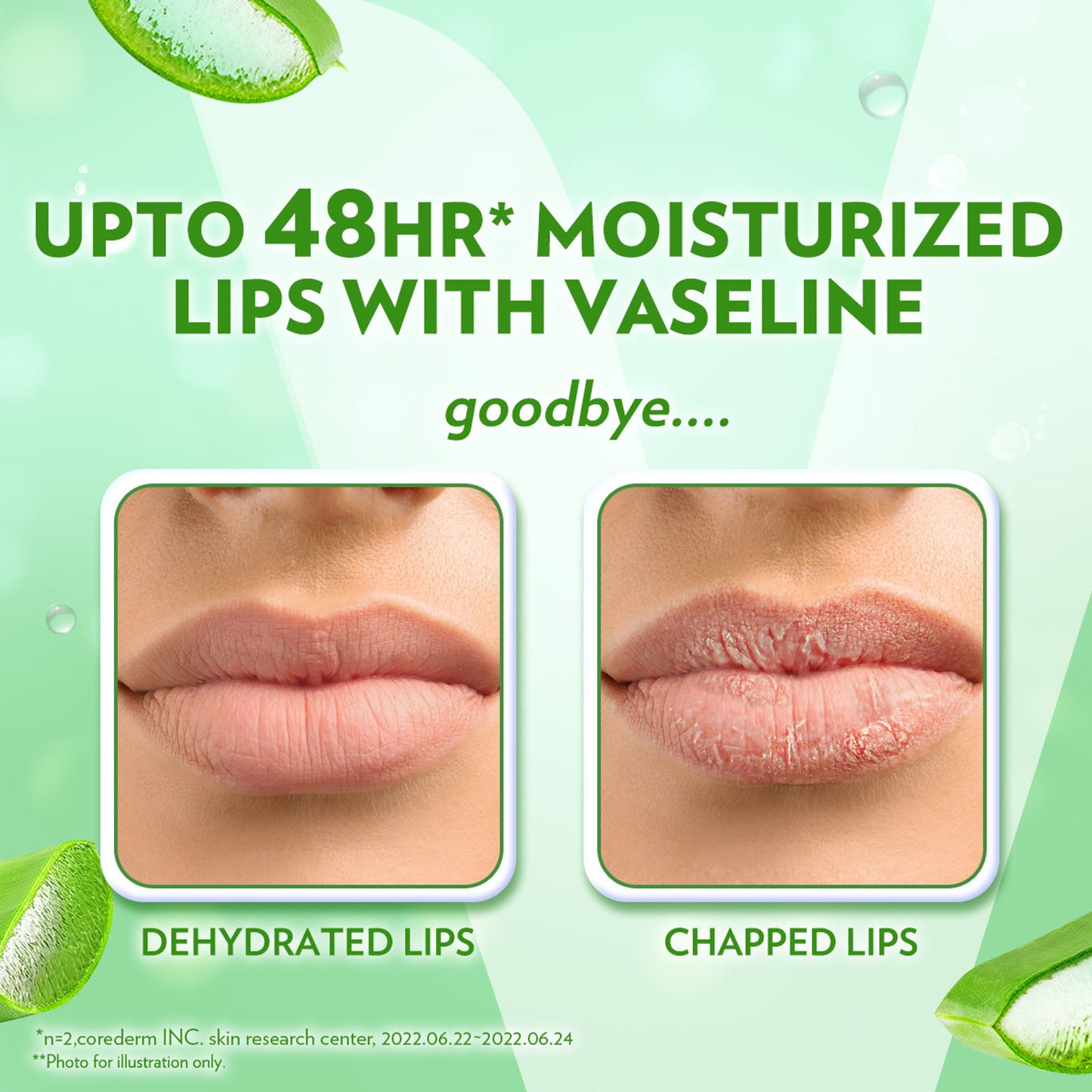 Vaseline Lip Care Aloe Vera Lip Balm Stick - Pack Of 2