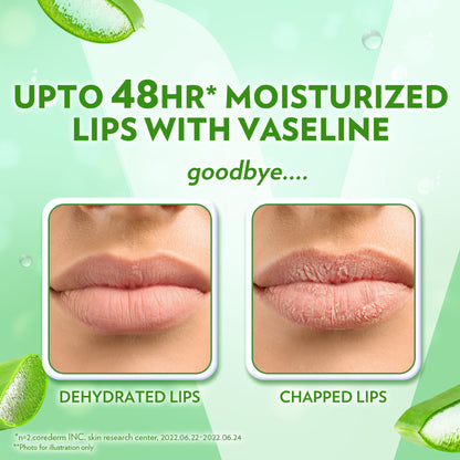 Vaseline Lip Care Aloe Vera Lip Balm Stick - Pack Of 2