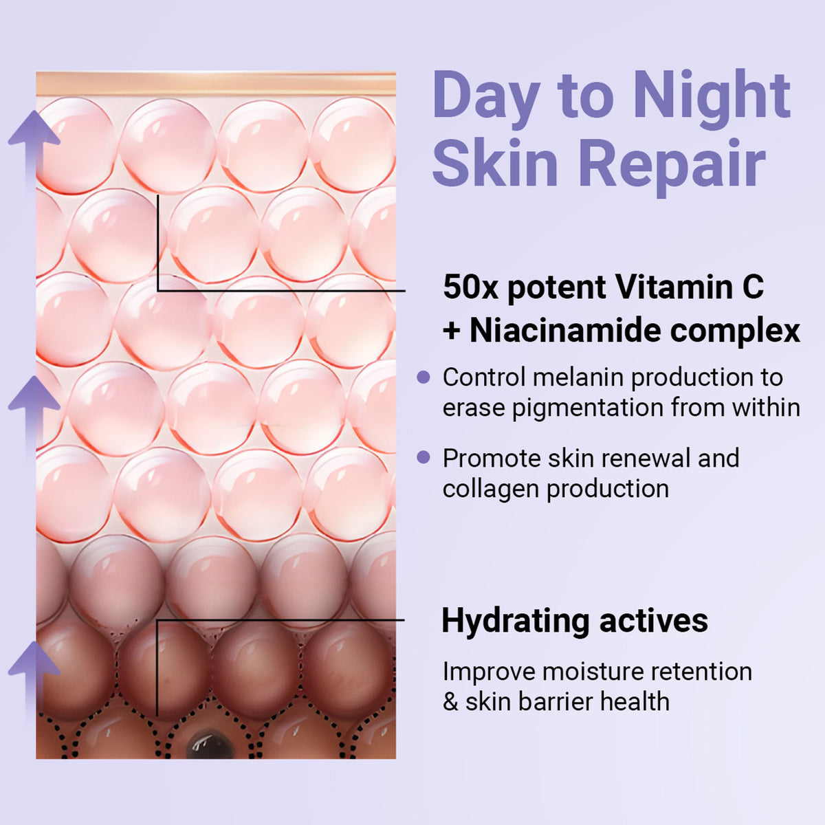 SEREKO Vit C Night Cream with Niacinamide for Tan Removal & Pigmentation