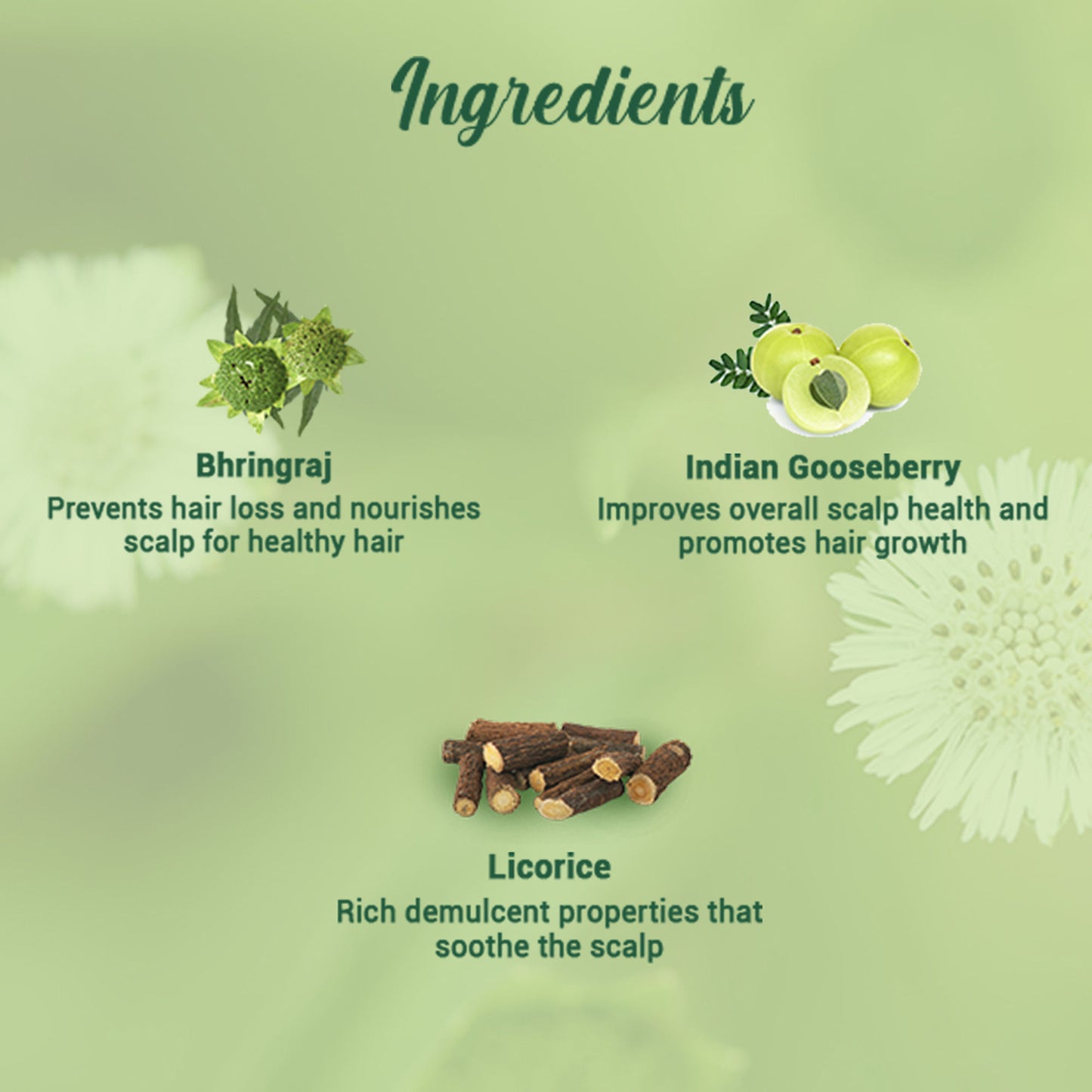 Biotique Bio Bhringraj Therapeutic Oil For Falling Hair