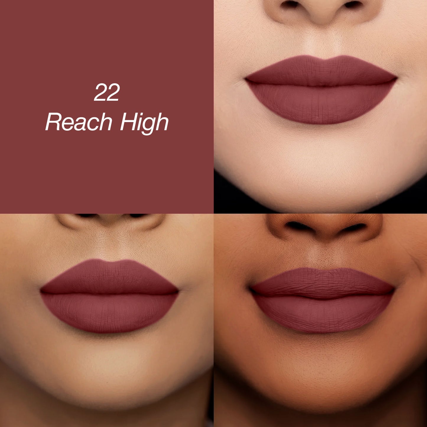 Colors Queen Luscious Lips Non Transfer Matte Lipstick - 22 Rich High
