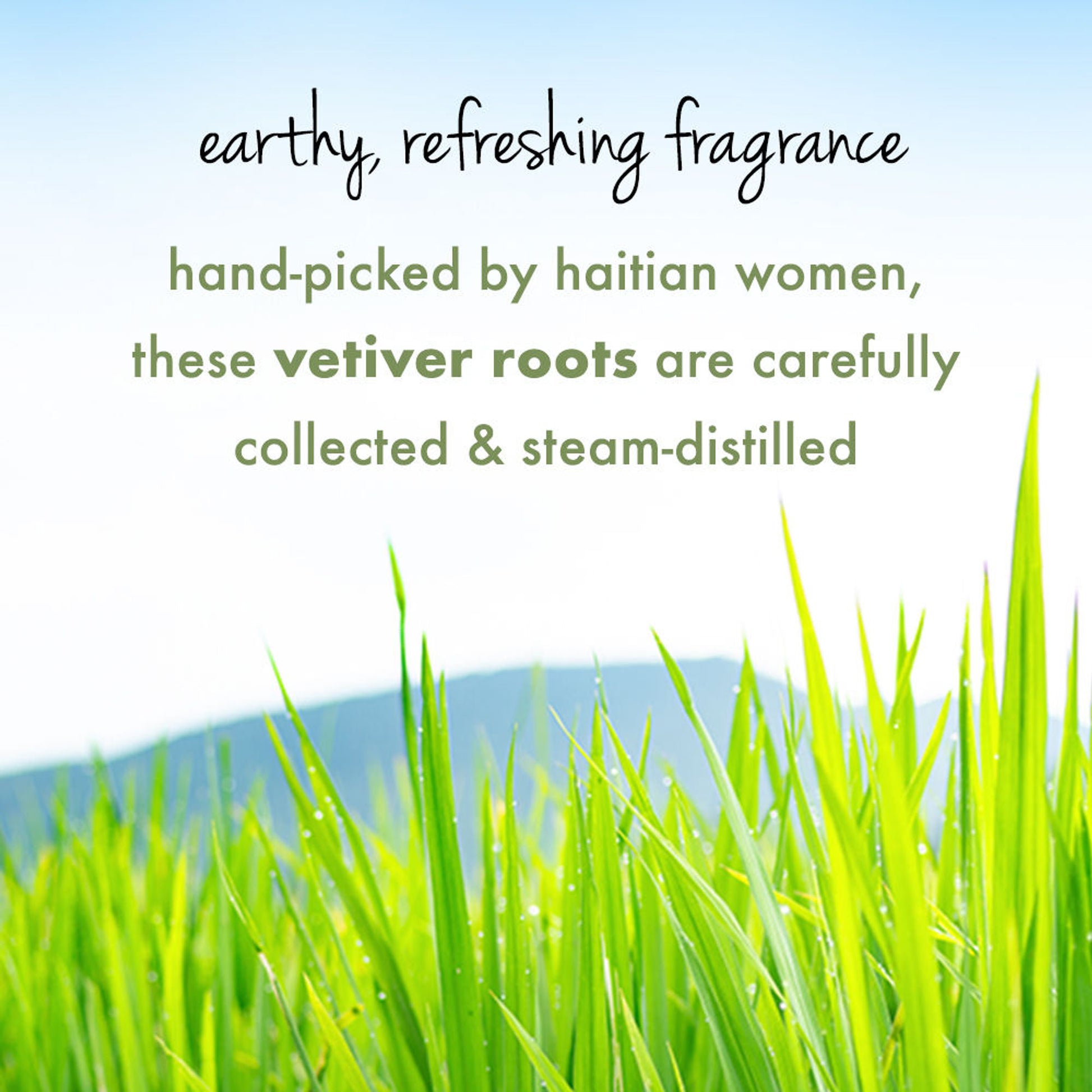 Love Beauty & Planet Tea Tree, Peppermint & Vetiver Scalp Purify Shampoo, Sulphates Free