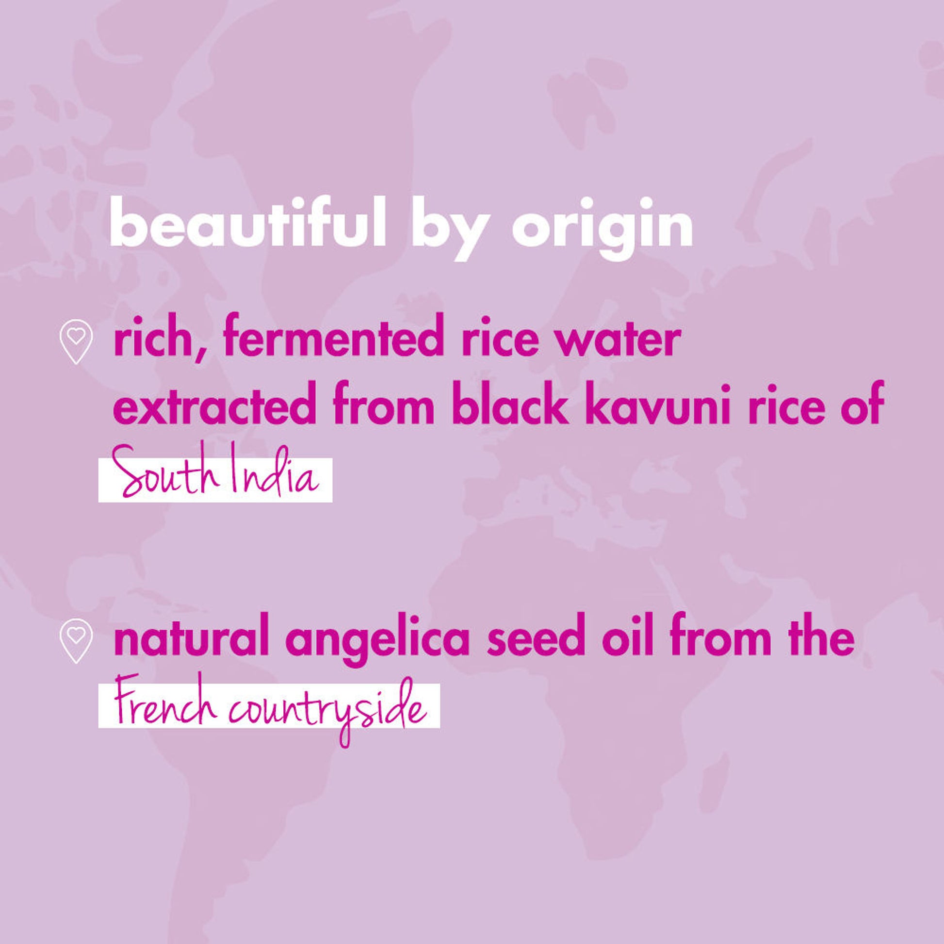 Love Beauty & Planet Rice Water & Angelica Seed Oil Shampoo For Frizz Free Curly & Wavy Hair