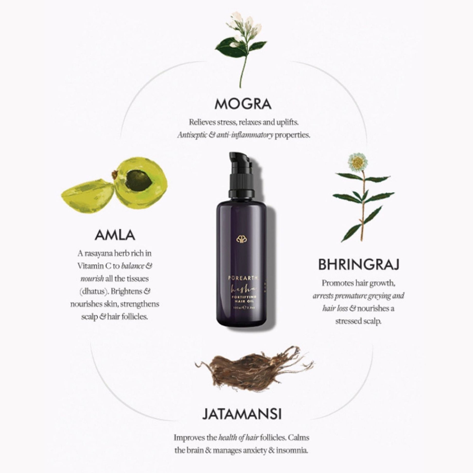 Purearth Bitter Apricot Body and Hair Oil
