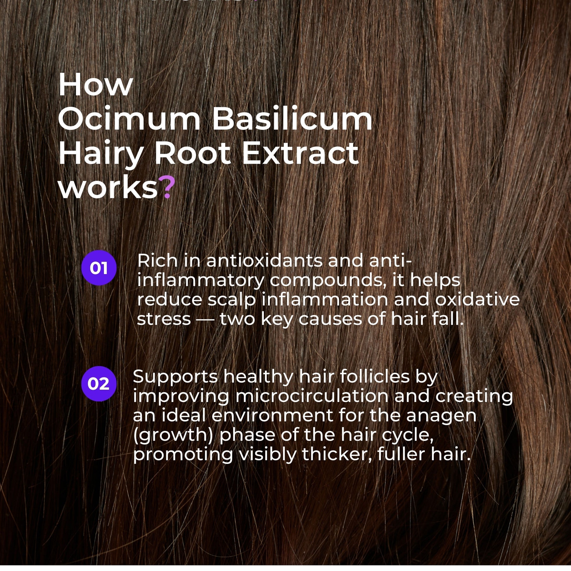 GLAD I MET YOU Hair Growth Serum