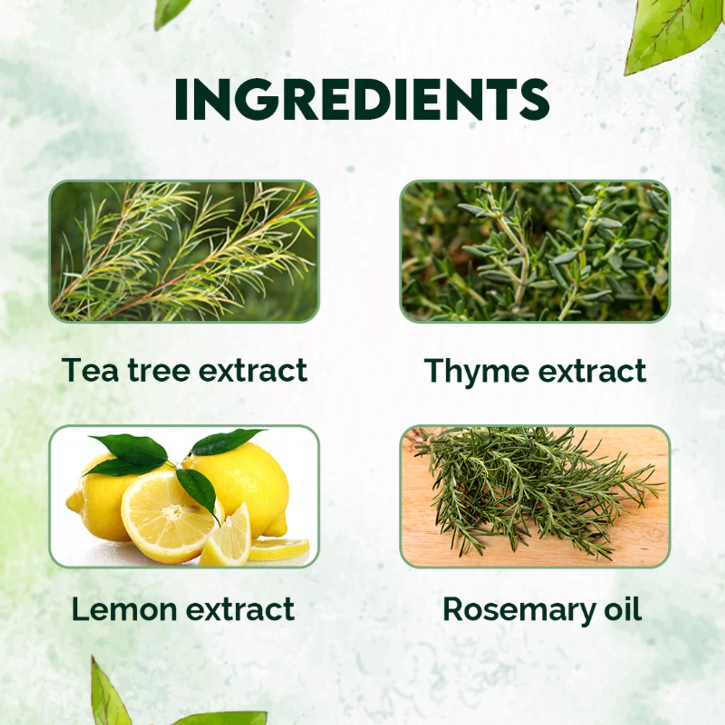 Jovees Thyme & Tea Tree Anti Dandruff Shampoo