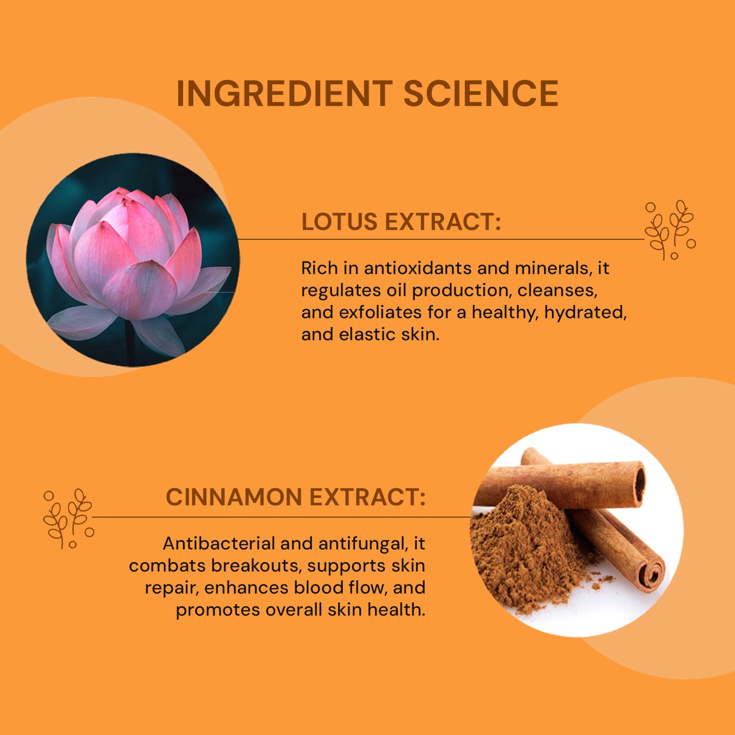 Raaga Professional Skin Toner With Lotus And Cinnamon Extracts