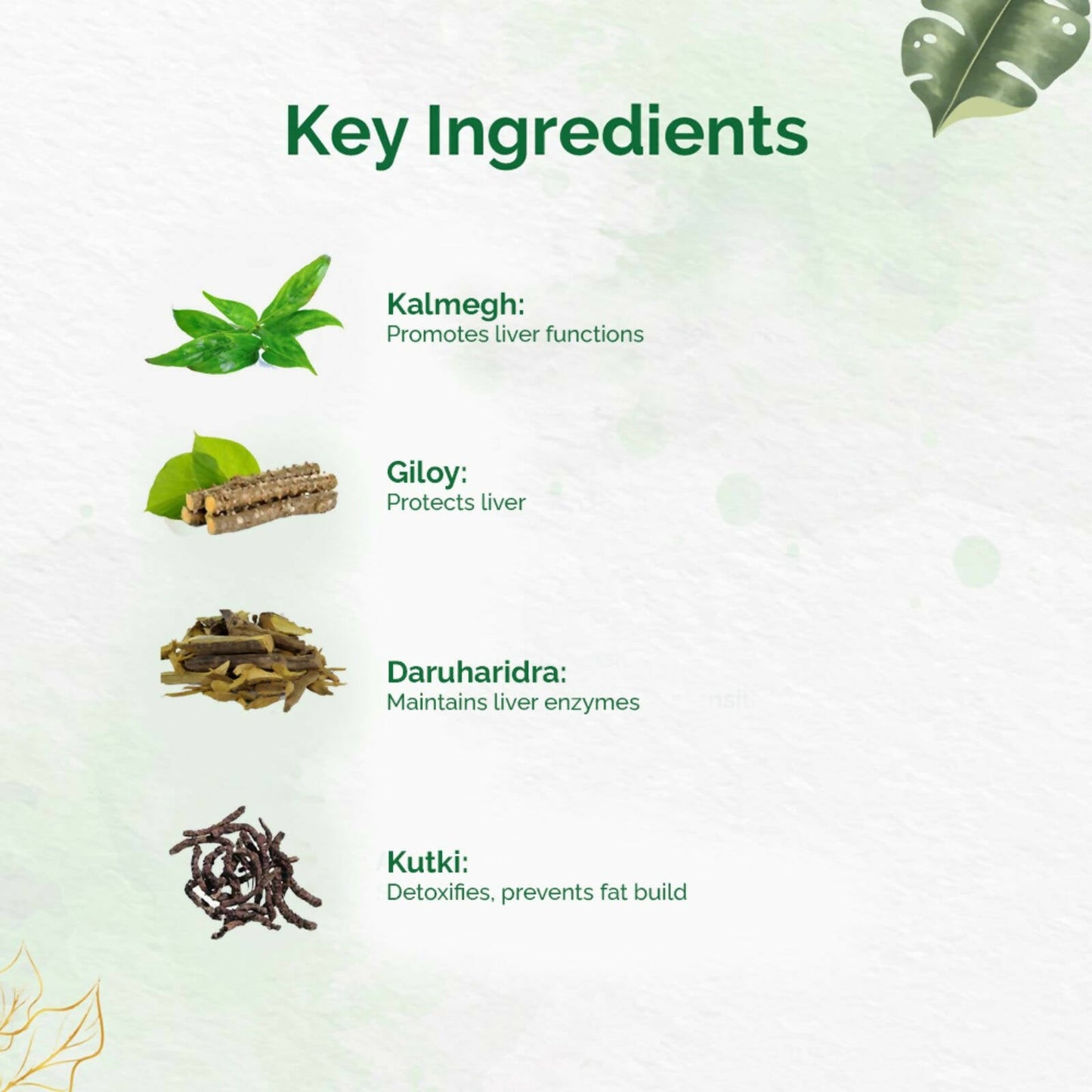 Dr. Vaidya's Liver Care Capsules