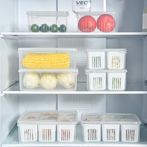 HomeWiz Fridge Storage Containers Large 6-Grid