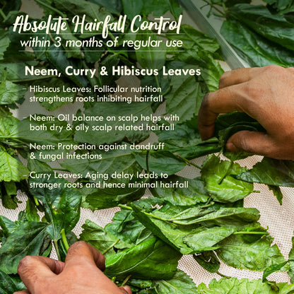 Nat Habit Trileaf Rosemary Hair Fall Control Ayurvedic Hair Oil With Hibiscus, Neem & Curry