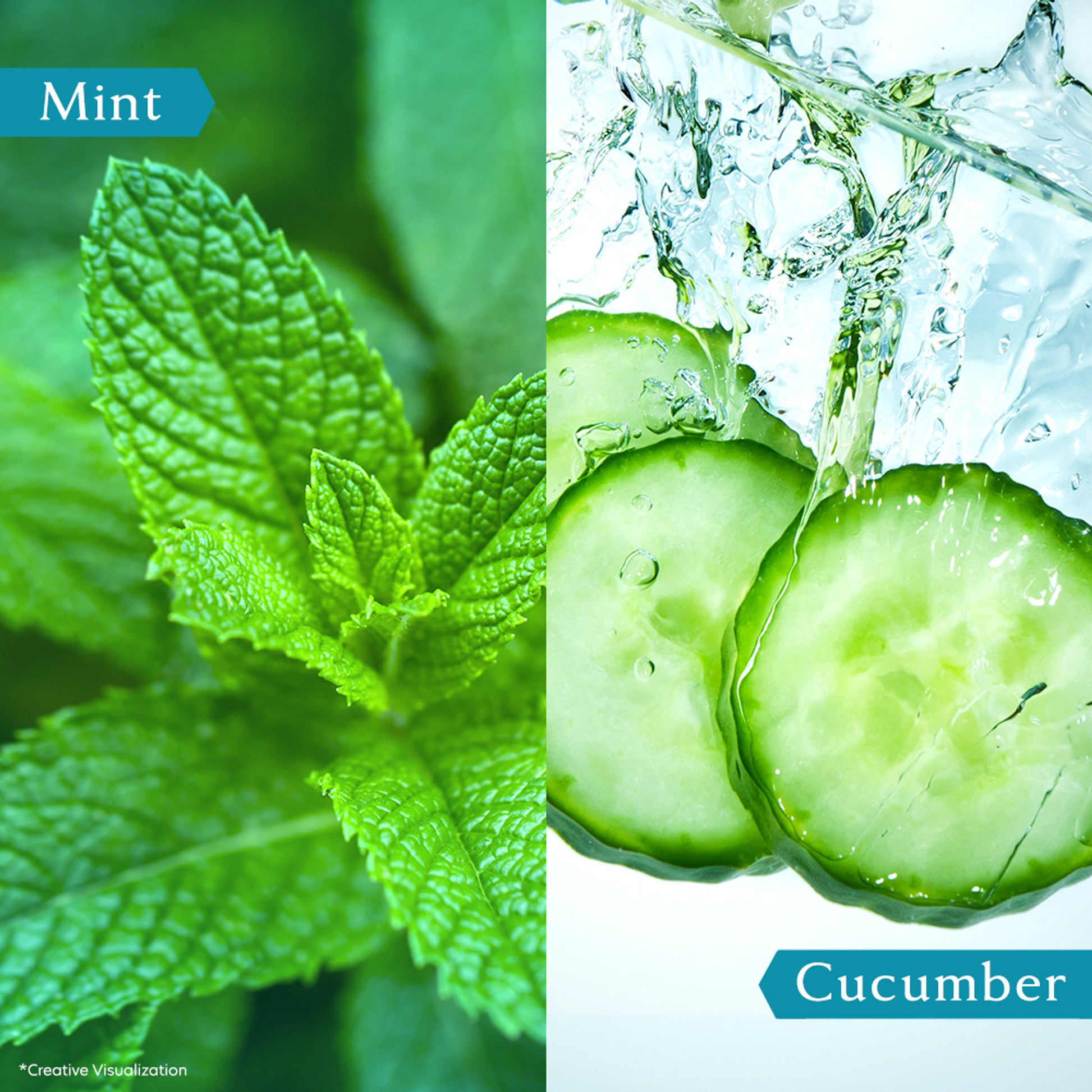 Vivel Refreshing Cooling Body Wash Mint & Cucumber Pump Bottle Shower Gel