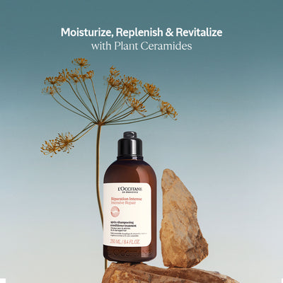 L'Occitane Intensive Repair Conditioner