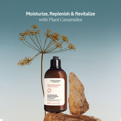 L'Occitane Intensive Repair Conditioner