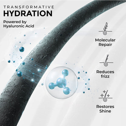 Streax Professional Vitariche Gloss Hair Mask, Deep Nourishment for Dry & Frizzy Hair