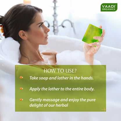 Vaadi Herbals Exotic Kiwi Soap For Extra Gentle Cleansing - Pack of 3