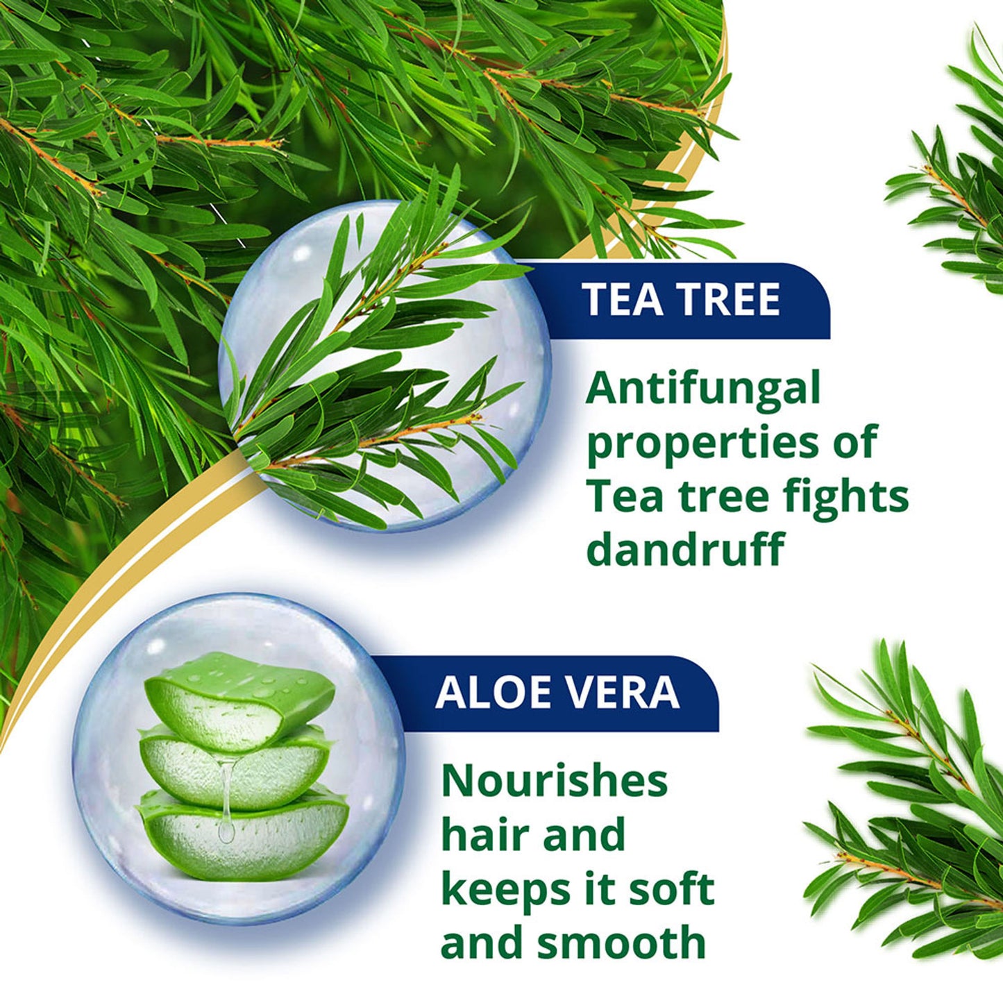 Himalaya Anti Dandruff Tea Tree Conditioner