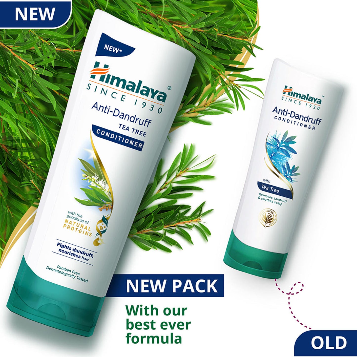 Himalaya Anti Dandruff Tea Tree Conditioner