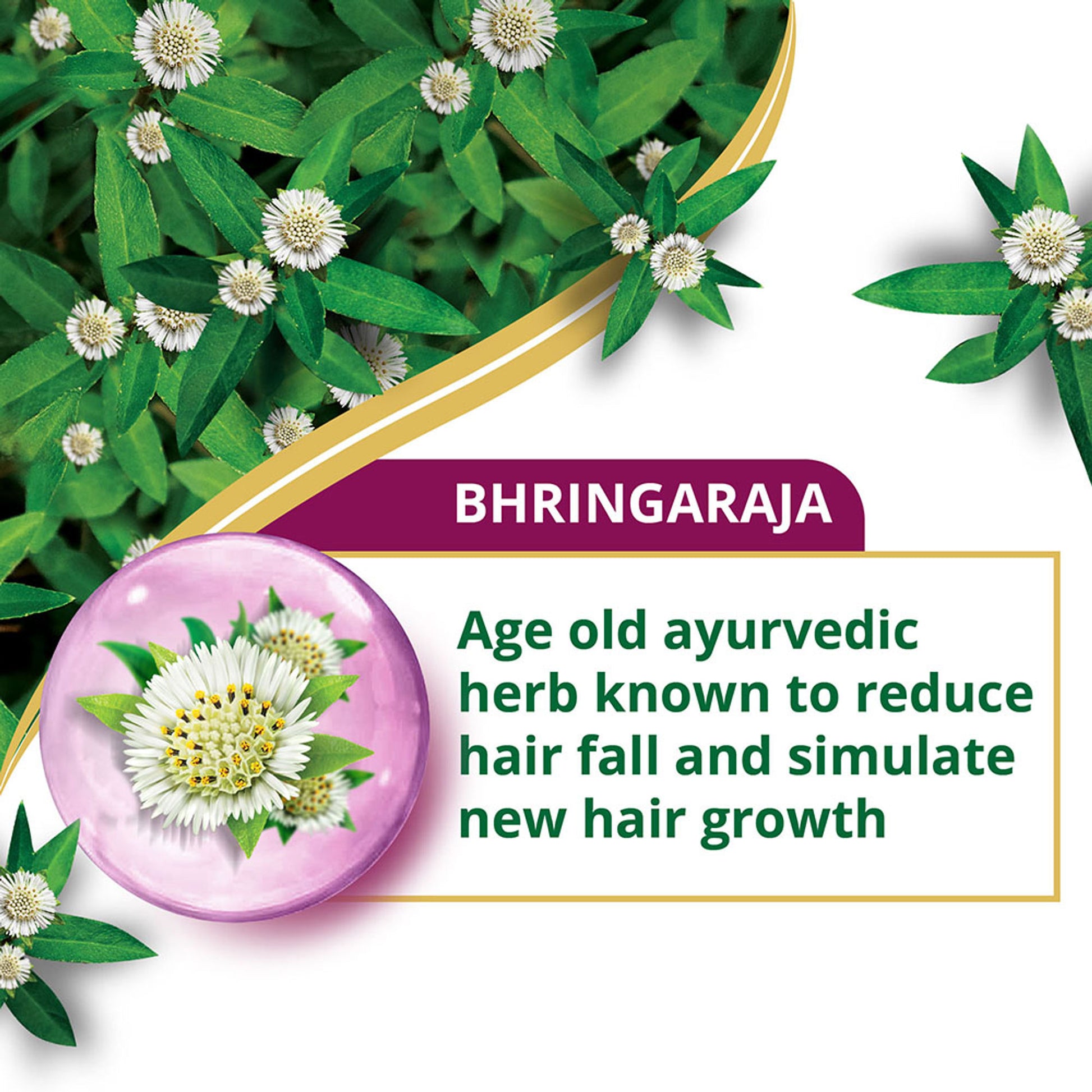 Himalaya Anti Hair Fall Bhringaraja Conditioner