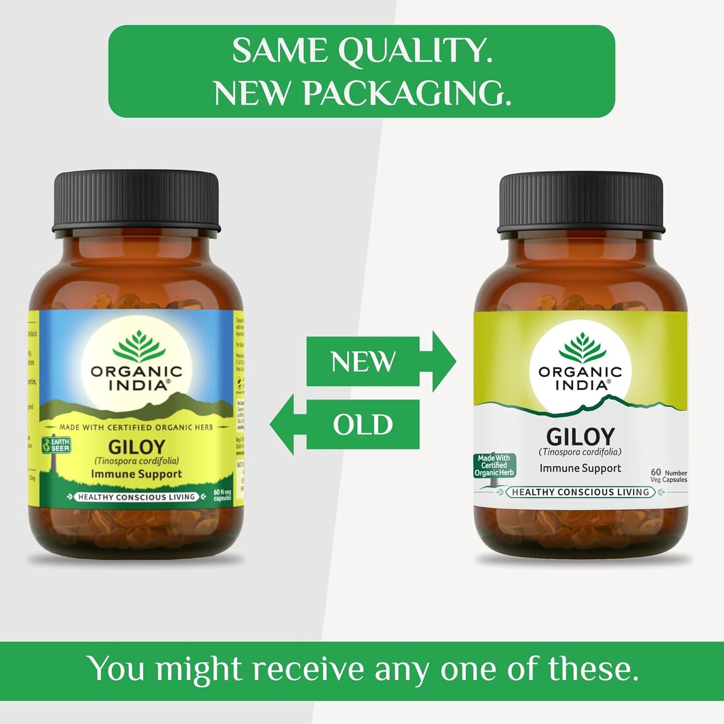 Organic India Giloy Capsules - Indyancart