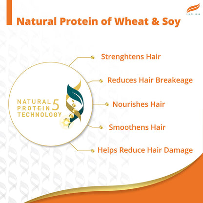 Himalaya Damage Repair Protein Shampoo With Beach Almond & Chickpea