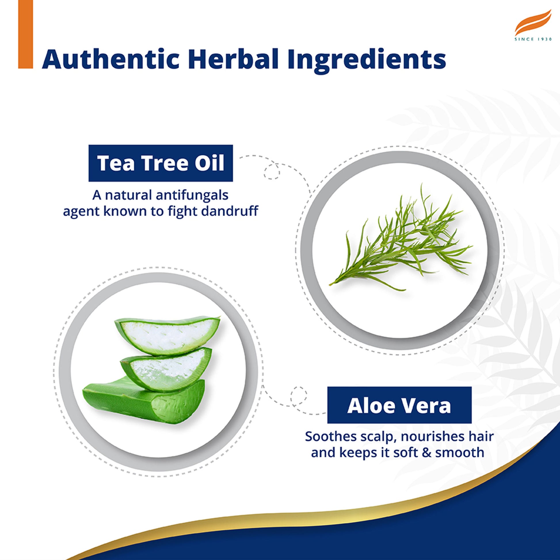 Himalaya Anti-Dandruff Shampoo With Tea Tree Oil & Aloe Vera