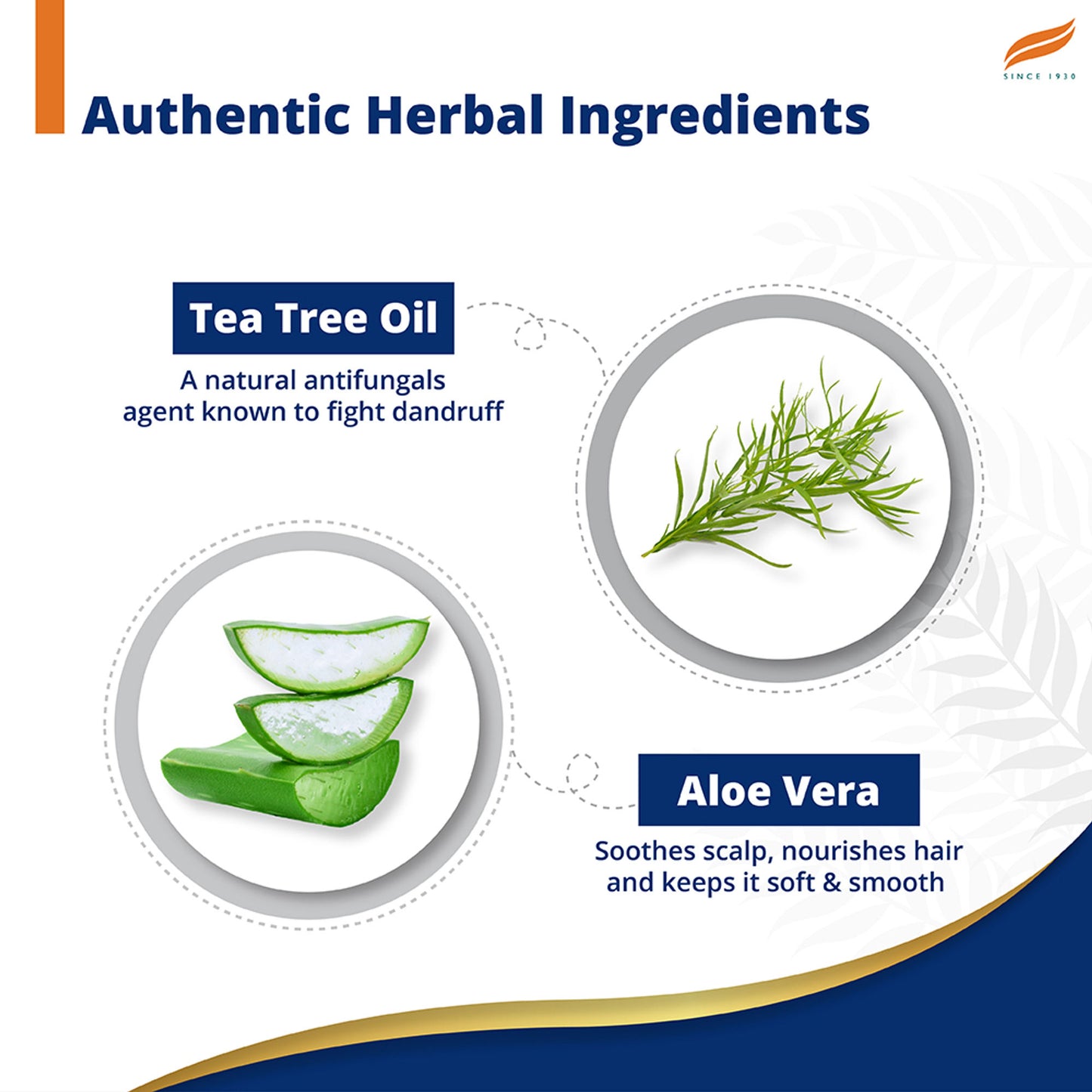 Himalaya Anti-Dandruff Shampoo With Tea Tree Oil & Aloe Vera