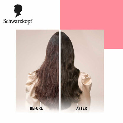 Schwarzkopf TAFT Power Hold 5 Hair Mousse To Controls Frizz, Lasts 24 Hours With No Stickiness