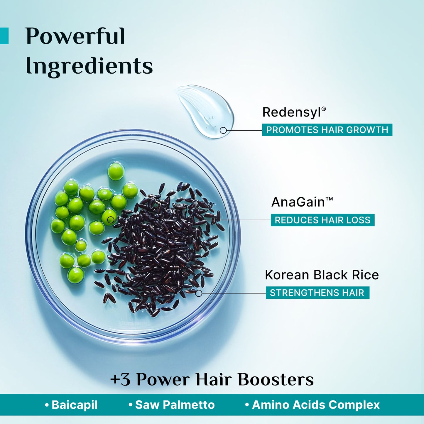 Pilgrim Redensyl & Anagain Hairfall Control Shampoo With Growth Boosters For Thick & Dense Hair