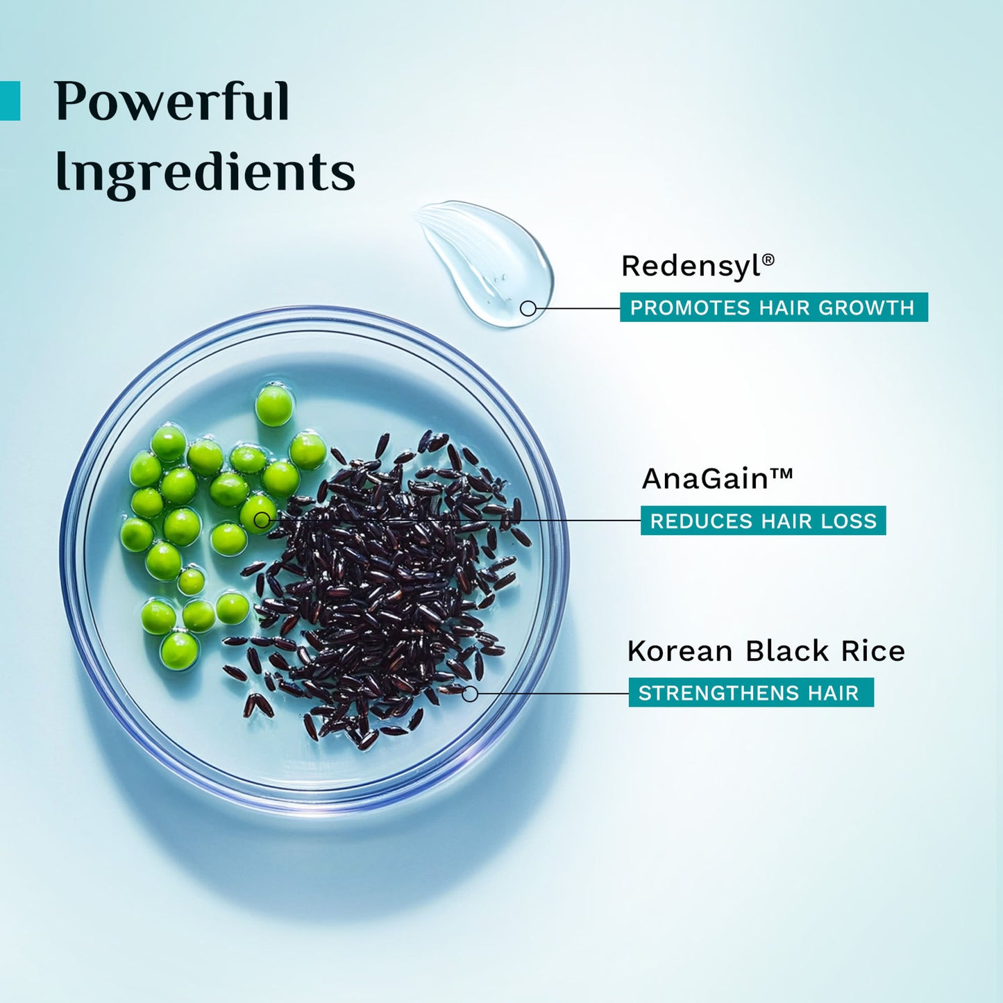 Pilgrim Redensyl & Anagain Hairfall Control Conditioner