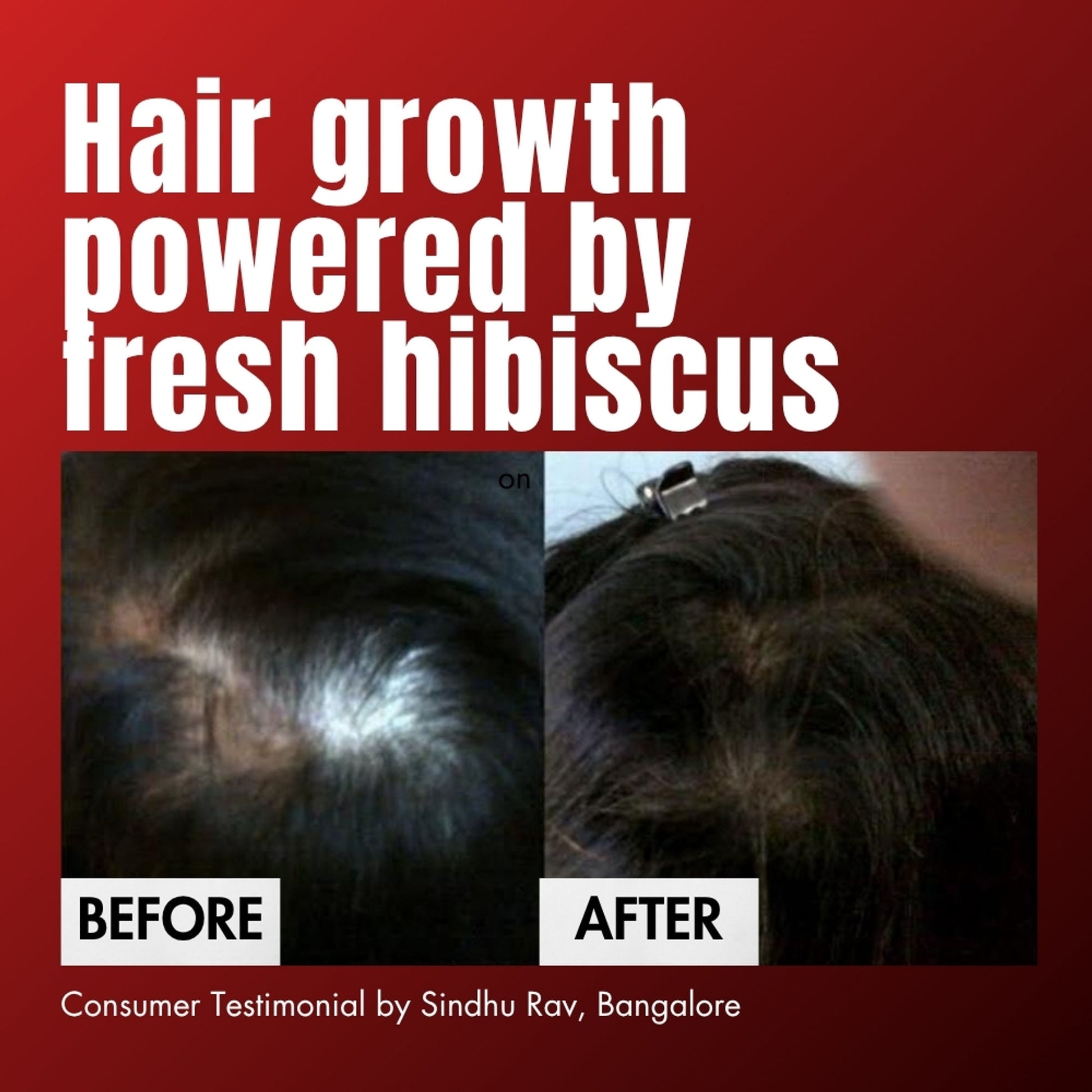 Hibiscus Monkey HM Love Scalp & Hair Oil with Fresh Hibiscus, 100% Natural for Regrowth, Anti-Frizz