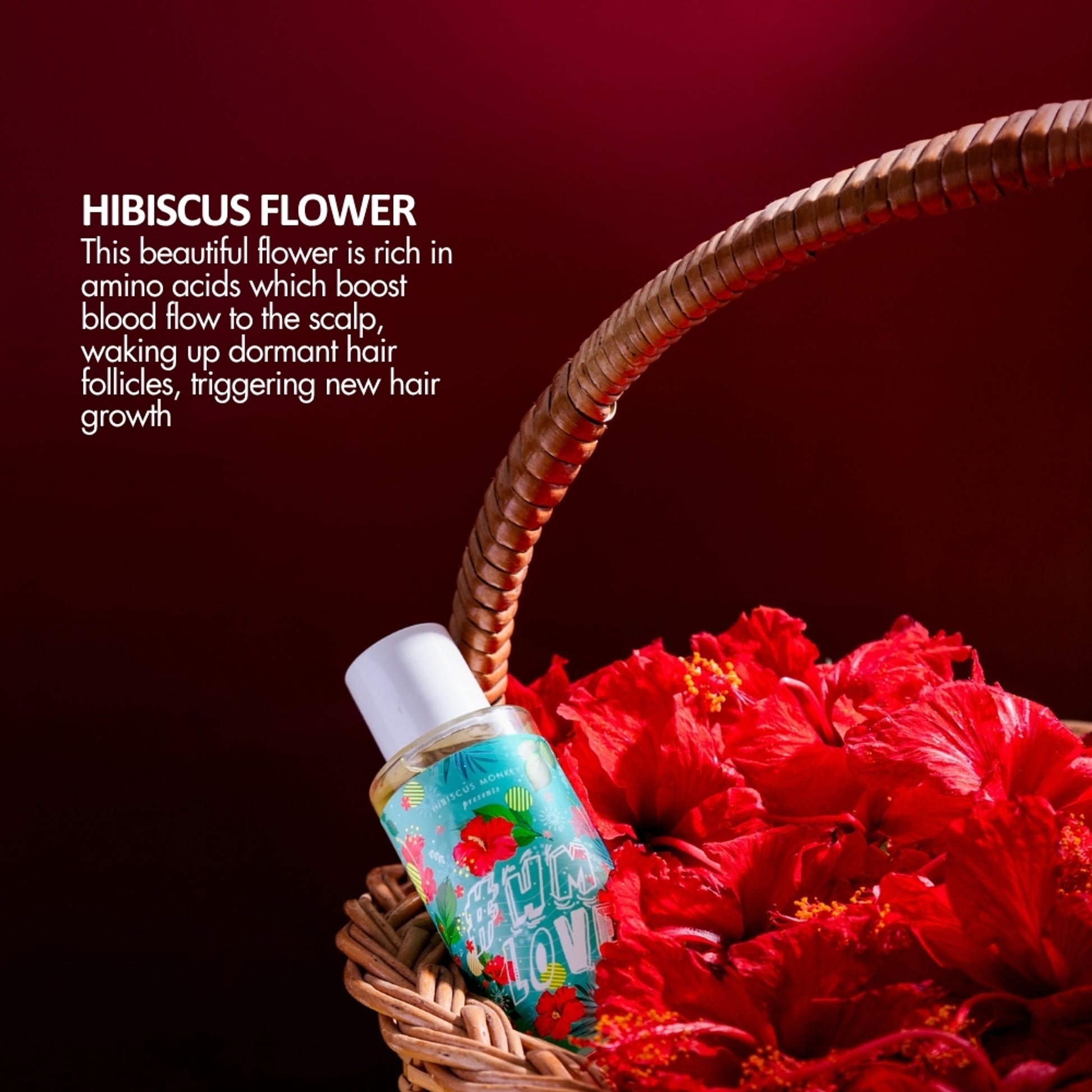 Hibiscus Monkey HM Love Scalp & Hair Oil with Fresh Hibiscus, 100% Natural for Regrowth, Anti-Frizz