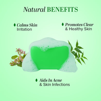 Khadi Natural Aloe Vera Soap for Skin Hydration, Cooling and Daily Nourishment Pack of 3