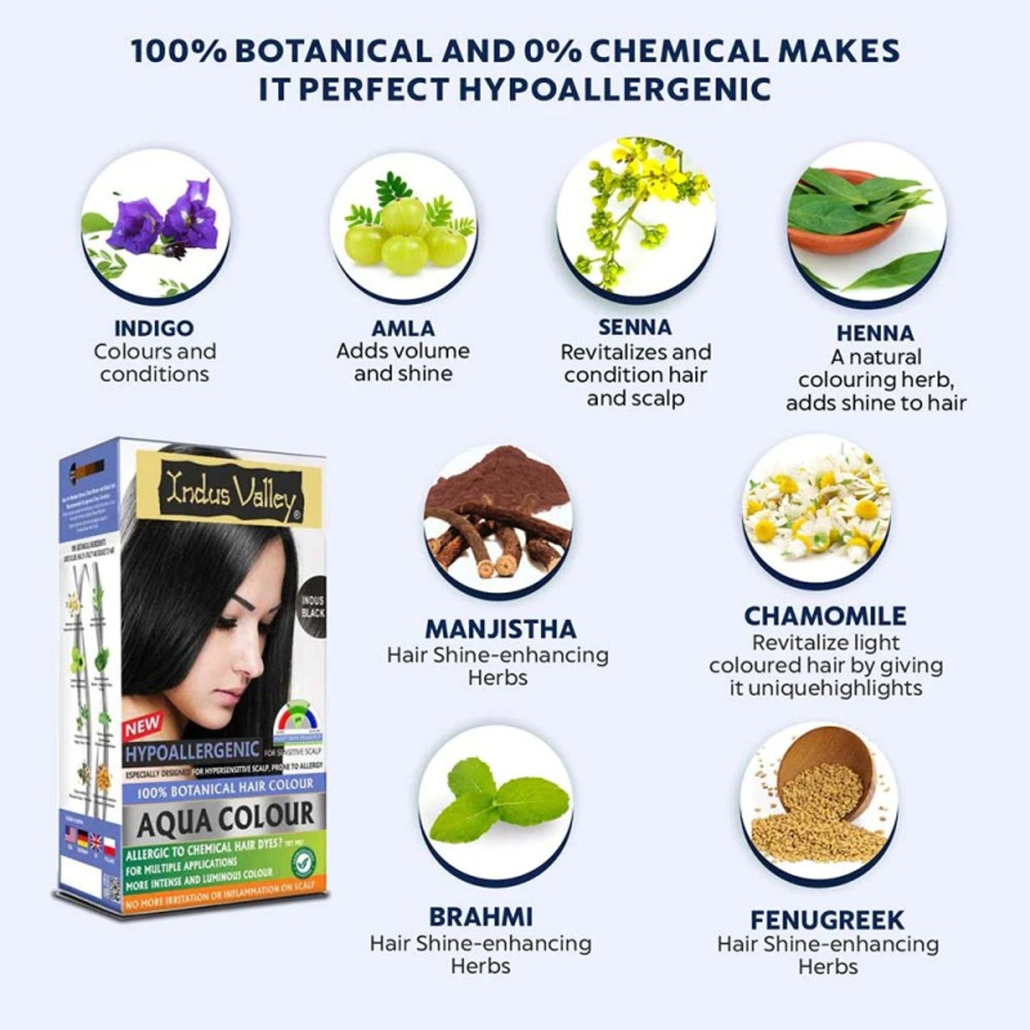 Indus Valley Hypo Allergic Aqua 100% Botanical Hair Colour - Indus Black