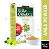 Indus Valley Bio Organic Amla Hair Color Powder