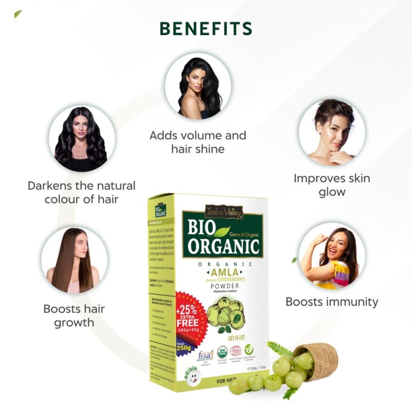 Indus Valley Bio Organic Amla Hair Color Powder