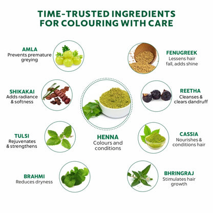 Indus Valley Bio Organic Herbal Henna Hair Color Powder