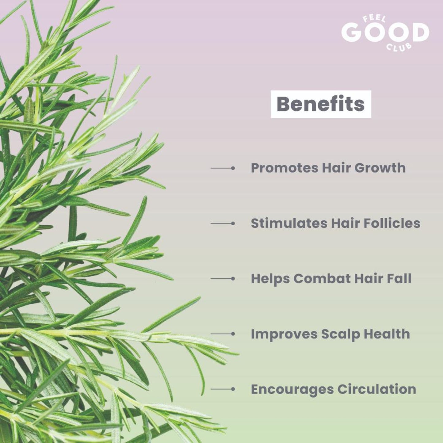 Feel Good Club 100% Pure Natural Rosemary Essential Oil For Hair Growth & Hair Fall Control