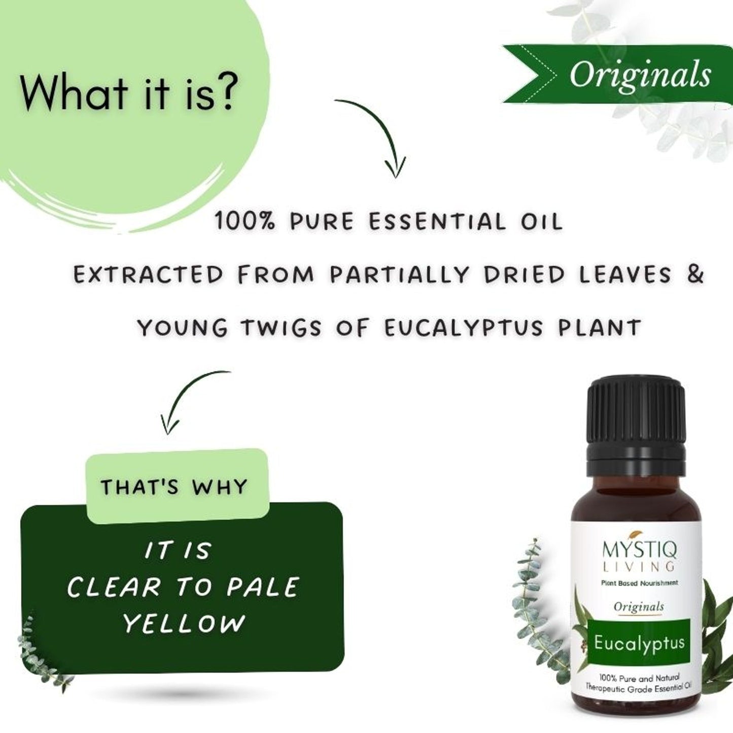 Mystiq Living Eucalyptus Essential Oil 100% Pure For Steam Inhalation, Aromatherapy, Relax Muscles