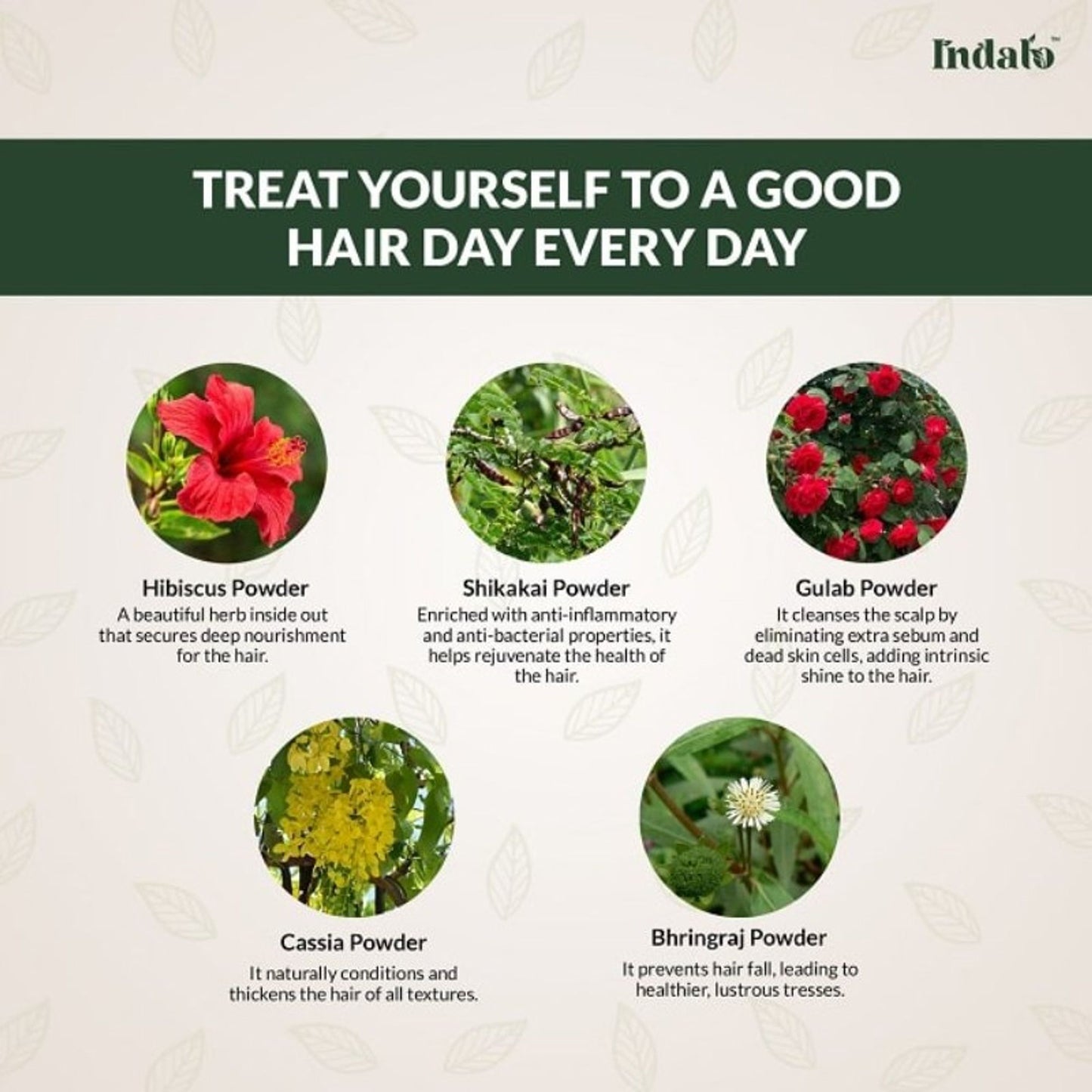 Indalo All-Natural Hair Treatment Pack - Shikakai & Bhringraj