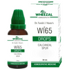 Wheezal Homeopathy WL 65 Drops