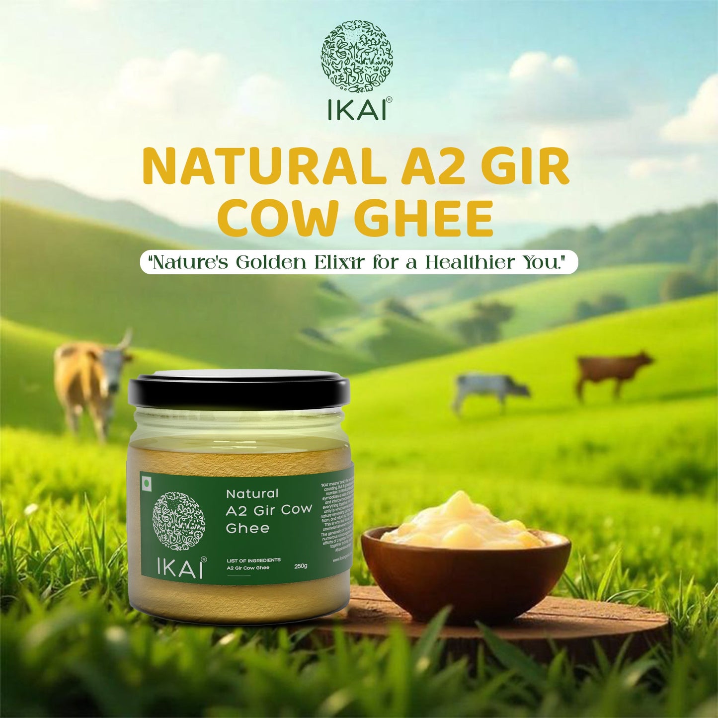 IKAI Natural A2 Gir Cow Ghee