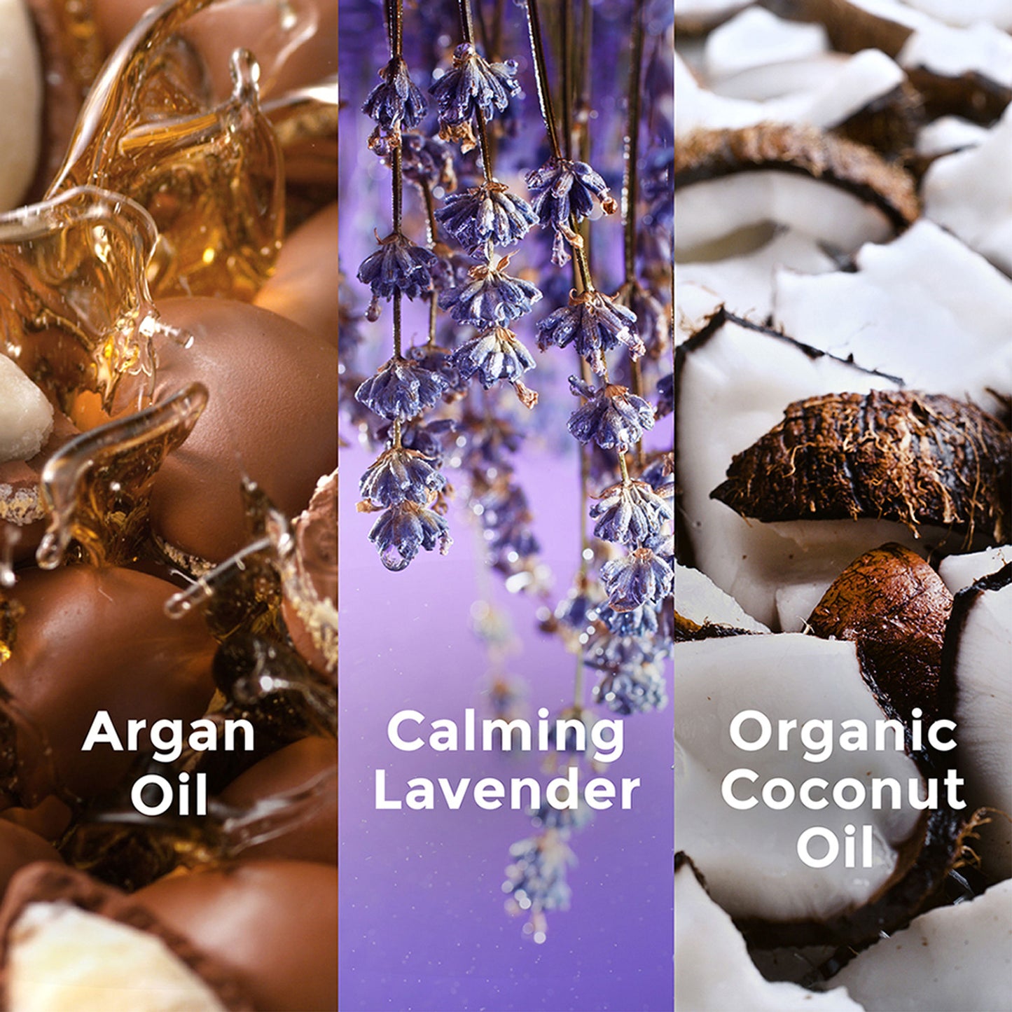 Love Beauty & Planet Argan Oil And Lavender Sulphate Free Conditioner For Dry & Frizzy Hair
