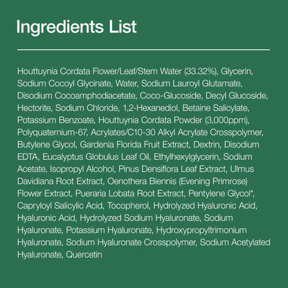 Anua Heartleaf Quercetinol Pore Deep Cleansing Foam with 0.5% BHA For Gentle Exfoliation